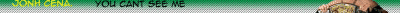 20080801221503-cena.gif